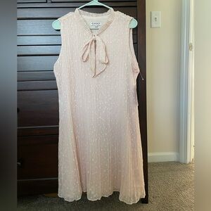 Blush NWT Nanette sleeveless dress.  Very elegant and never worn.